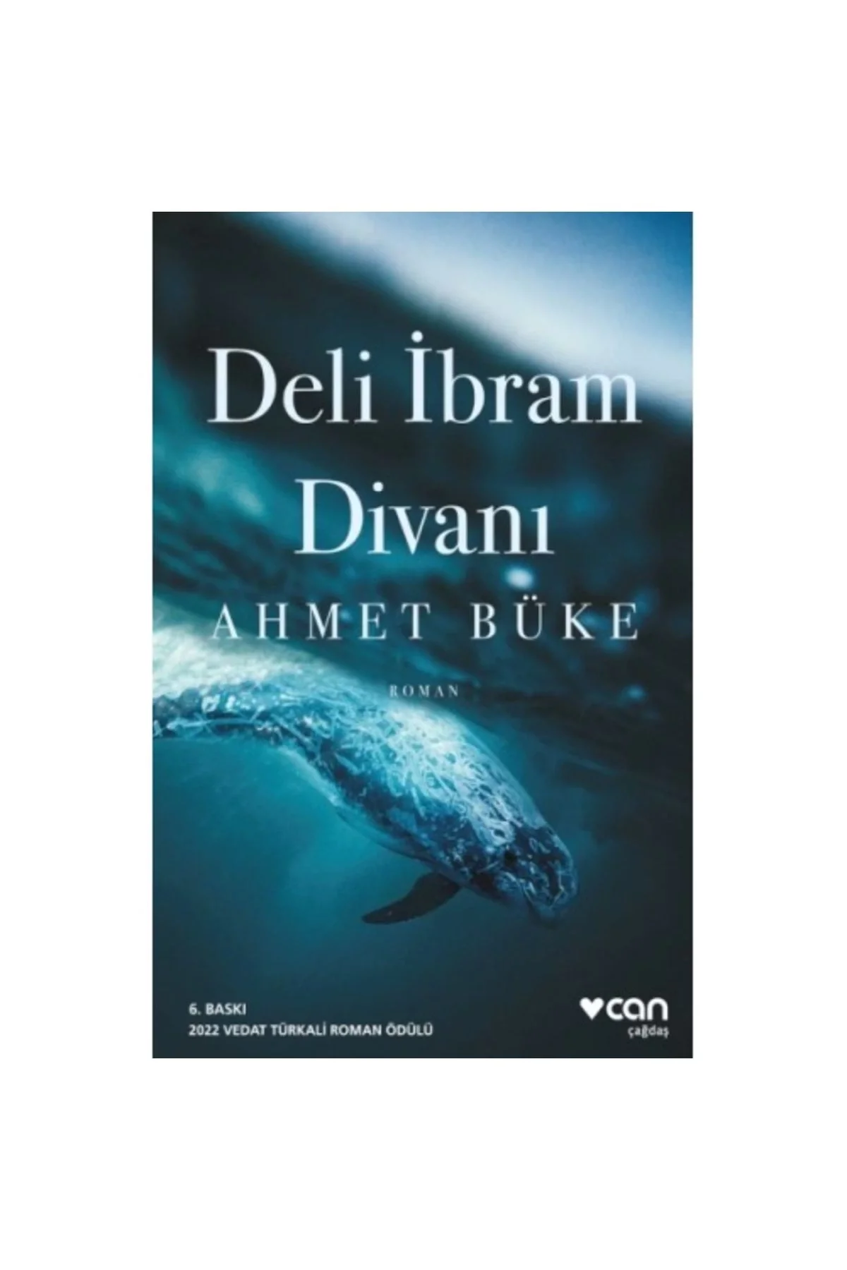 Deli İbrahim Divanı Ahmet Büke Can Yayın