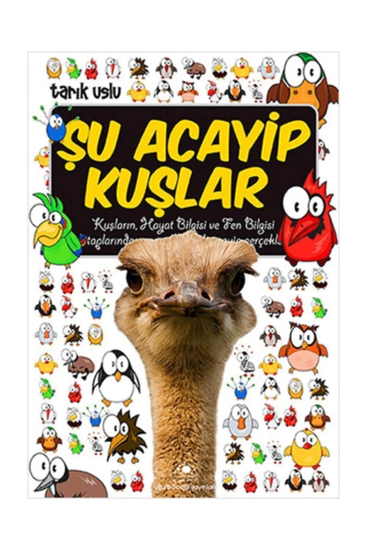 Şu Acayip Kuşlar Uğurböceği