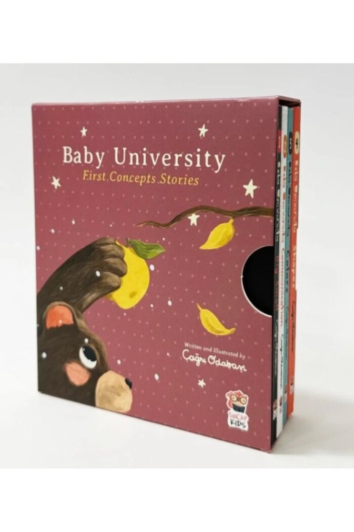Baby Universty First Concepts Storıes 4 Kitap Set Sincap Kitap