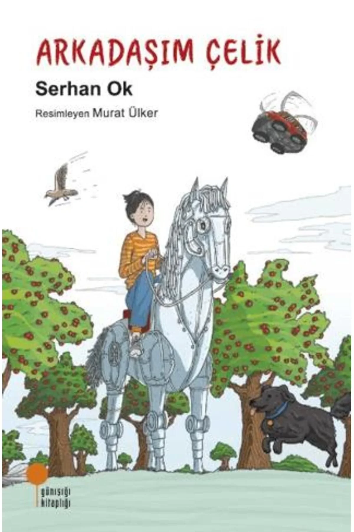 Arkadaşım Çelik Serhan Ok Günışığı