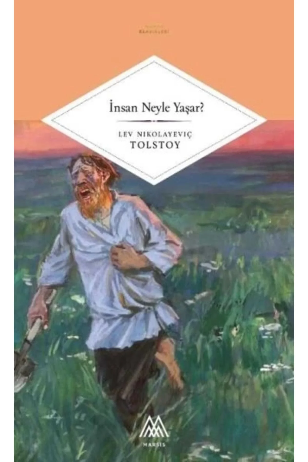 İnsan Neyle Yaşar Tolstoy Marsis