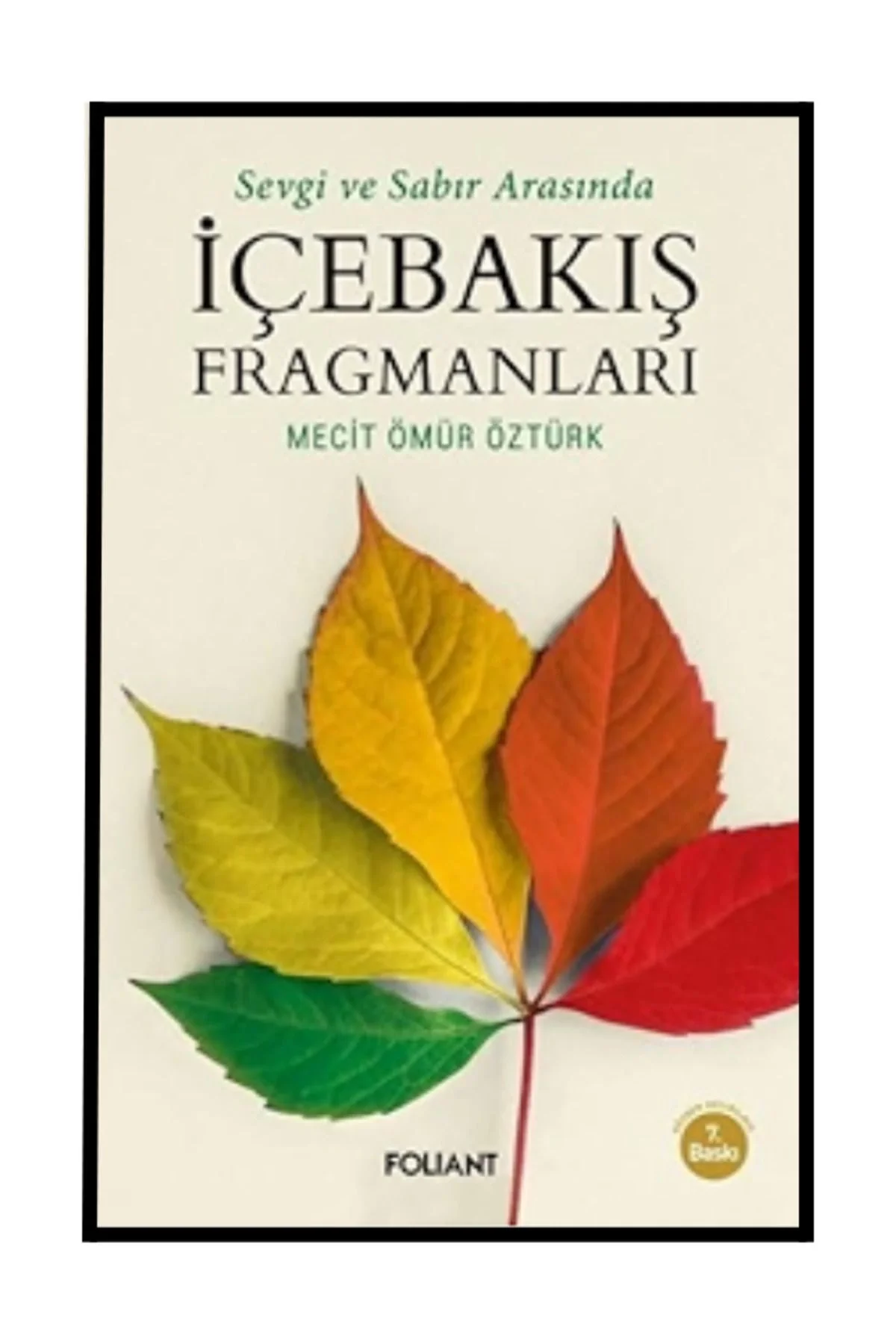 İçe Bakış Fragmanları Mecit Ömür Öztürk Folıant