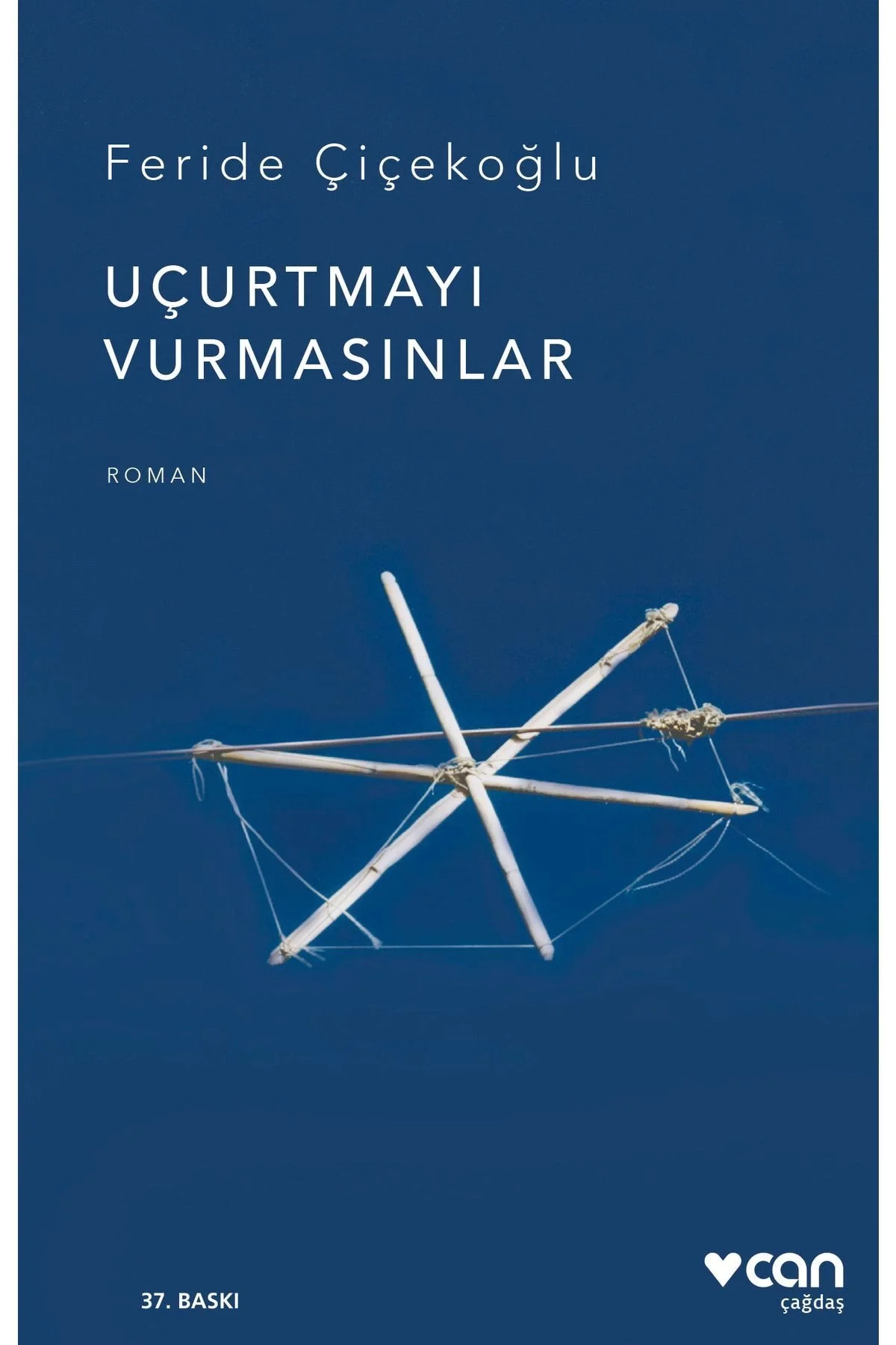 Uçurtmayı Vurmasınlar Feride Çiçekoğlu Can Yayın