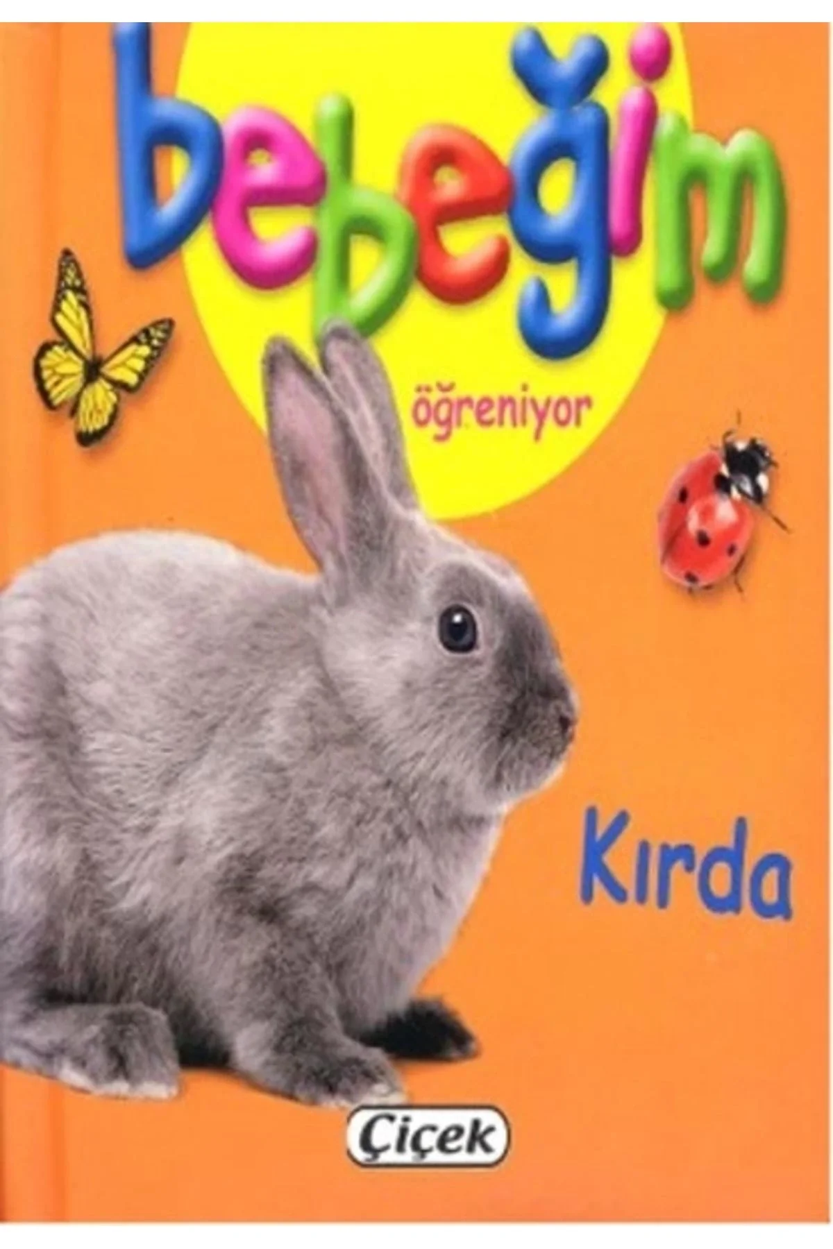 Bebeğim Öğreniyor Kırda Çiçek Yayın