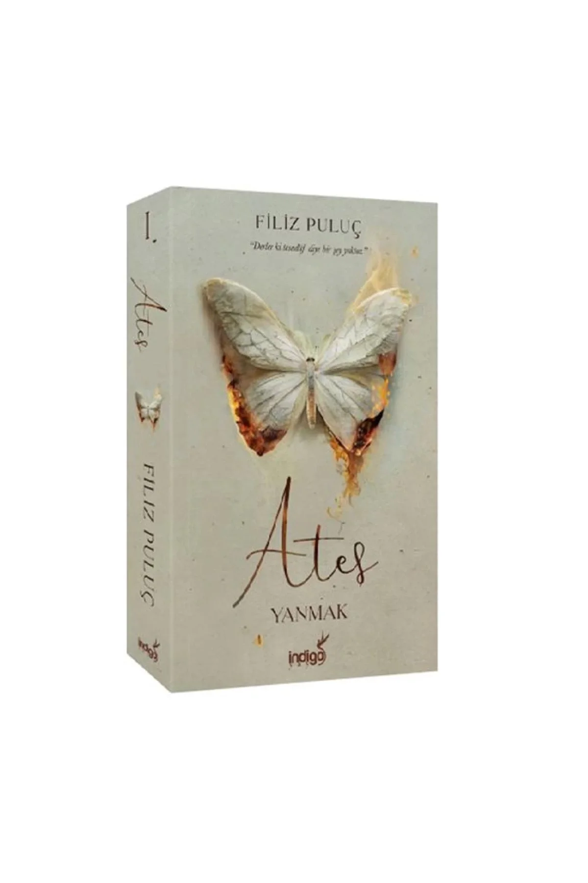 Ateş Yanmak Filiz Puluç İndigo