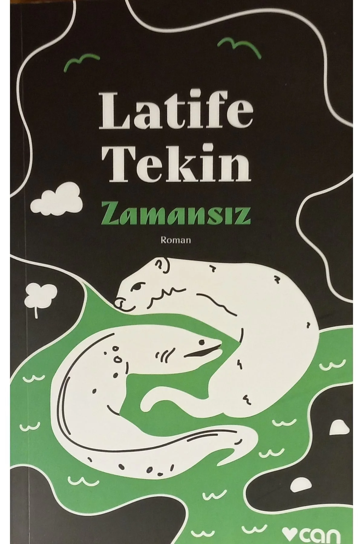 Zamansız Latife Tekin Can Yayın