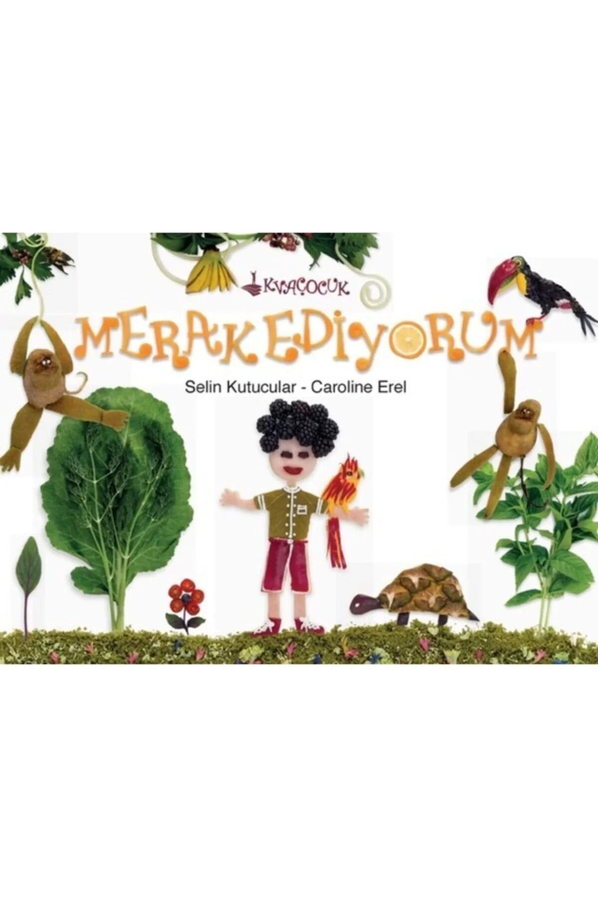 Çocuk Merak Ediyorum Koray Varol Çocuk
