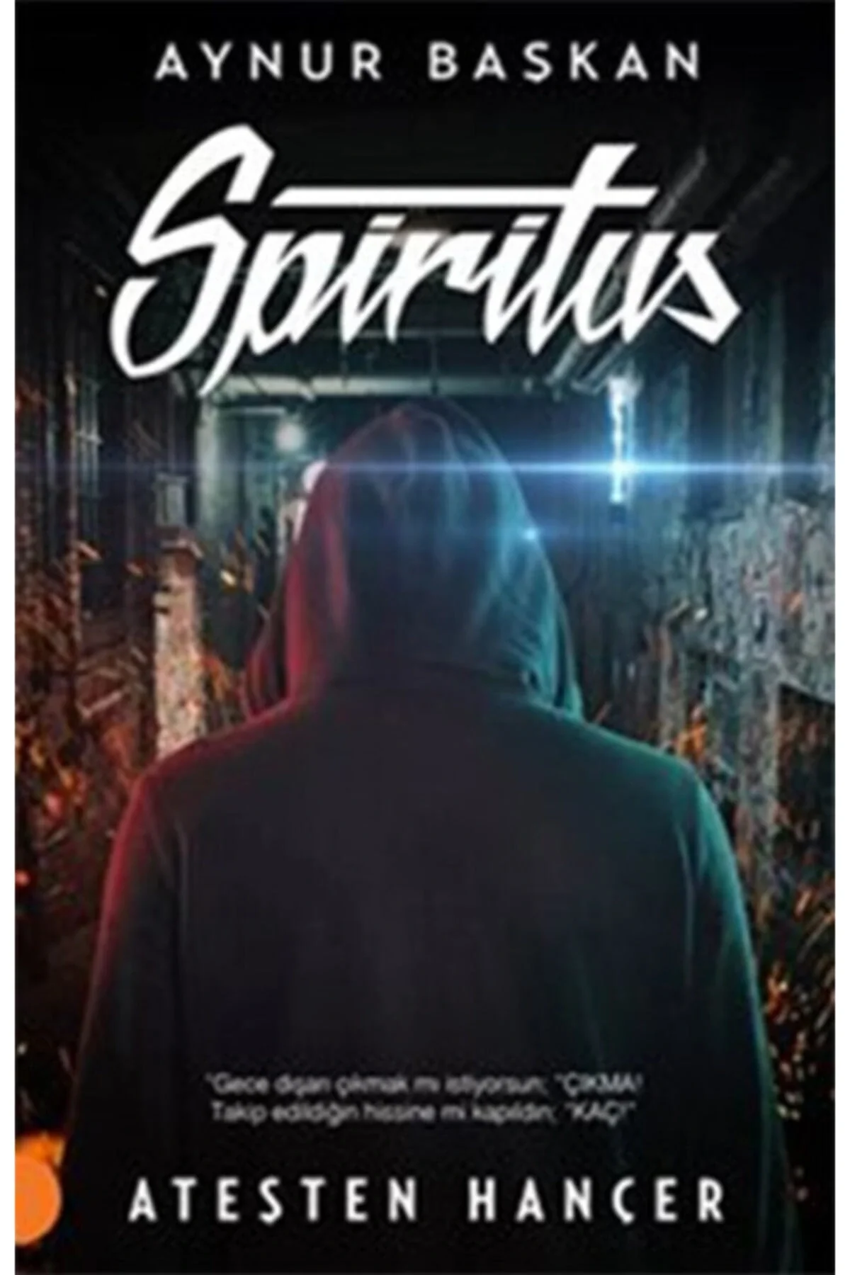 Spiritus. Aynur Başkan Portakal