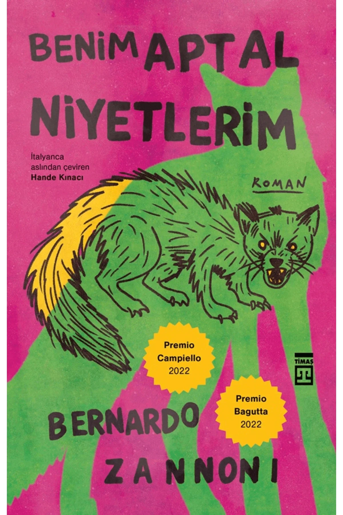 Benim Aptal Niyetlerim Bernardo Zannonu Timaş