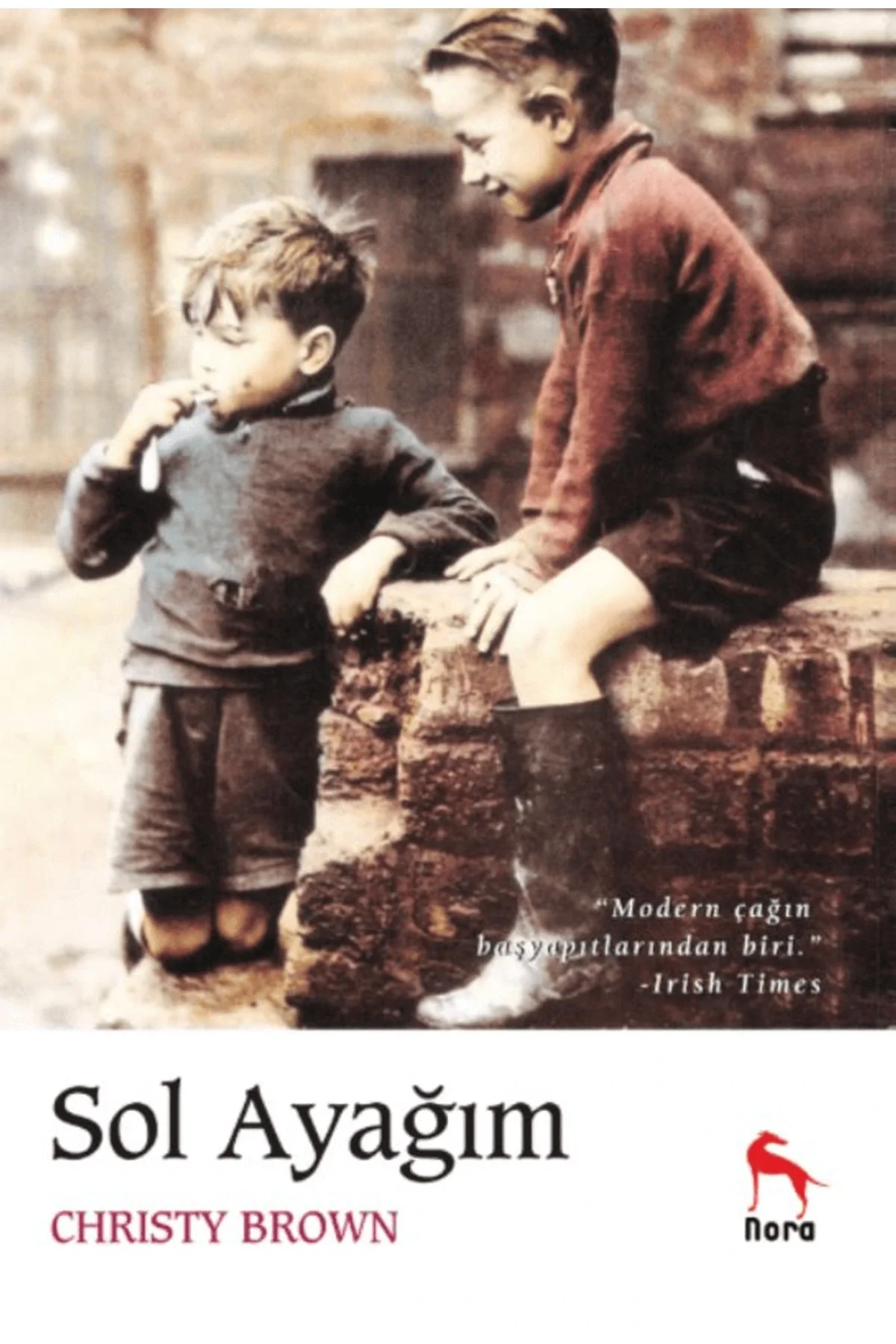 Sol Ayağım Chrinty Brown Nora Yayın