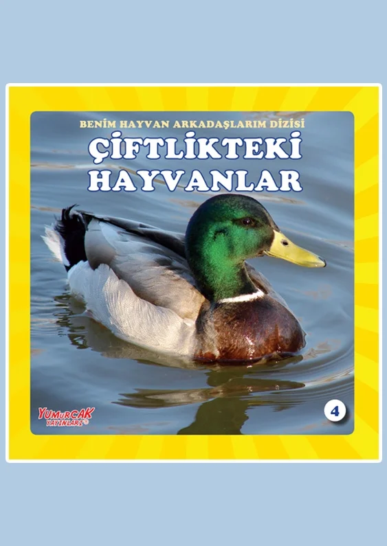 Çiftlik Hayvanları Yumurcak