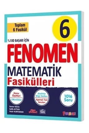 Fenomen 6.Sınıf Matematik Fasikülleri 6 Kitap Set