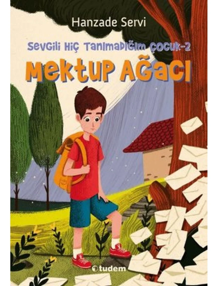 Sevgili Hiç Tanımadığım Çocuk 2 Tudem