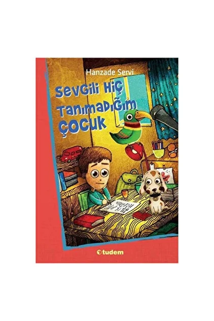 Sevgili Hiç Tanımadığım Çocuk Hanzade Servi Tudem