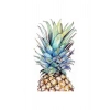 Sayılarla Boyama Seti 30X40 Cm Tuval  Ananas