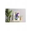 Sayılarla Boyama Seti 30X40 Cm Tuval  Lavanta
