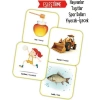 İngilizce Destekli Oyun Kartları Eşleştirme  Ev       Sincap Kitap