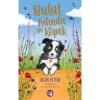 Bulut Adında Bir Köpek     Büyülü Fener