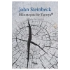 Bilinmeyen Bir Tanrıya John Steinbeck Sel