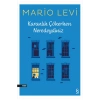 Karanlık Çökerken Neredeydiniz  ?  Mario Levi Everest