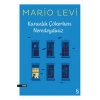 Karanlık Çökerken Neredeydiniz  ?  Mario Levi Everest