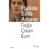 Dağa Çıkan Kurt  H.Adip Adıvar  Can Yayınları