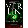 Merlin 6 Avalon Ejderhasi Parodi