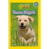Yavru Köpek