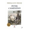 Peter Camenzınd Can Yay.