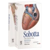 Sobotta İnsan Anatomisi Atlası 3 Cilt Beta