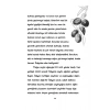 Zeytin Ağacının Fısıltısı  Multibem