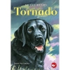 Tornado Betsy Byars Beyaz Balina