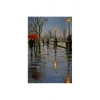 Sayılarla Boyama Seti 30X40 Cm Tuval İstanbula Yağan Yağmur