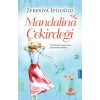 Mandalina Çekirdeği   Zekeriya Efiloğlu   Hayat