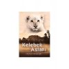 Kelebek Aslanı M. Morpurgo Tudem