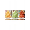Balonevi Balon Karamel 0242304