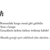 Aeden Bir Dünya Hikayesi. Azra Kohen   Artemis