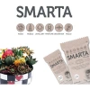 Smarta Akıllı Model Hamur Mavi 100Gr