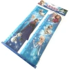 Frozen Fr-Poa-32 Pop Up Stıcker Boy Cetveli 24/48