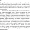 Evi̇Ni̇Zdeki̇ Terapi̇St/ D.Greenberger Altın