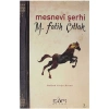Mesnevi Şerhi Padişah Cariye Kıssası - Sufi Kitap