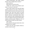 Kilden Köprü   Markus Zusak   Martı
