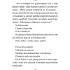 Kilden Köprü   Markus Zusak   Martı