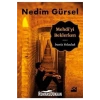 Mehdiyi Beklerken İrana Yolculuk  Nedim Gürsel  Doğan