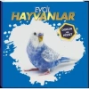 Evcil Hayvanlar Dokun Ve Hisset