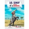 10.Sınıf 6 Lı Sarmal Deneme  Kafadengi