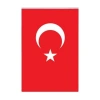 Vatan Vt 103 40X60 Cm Türk Bayrağı