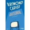 Katedral  Raymond Carwer  Can Yayın