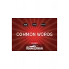 Dilfem Yds Common Words ( Cep Kartelası )