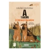A Takımı İz Sürmeyi Öğreniyor İz Sürücü Köpekler 2 Yapı Kredi